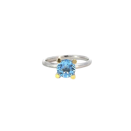 anell MIQUEL SARDÀ 23251