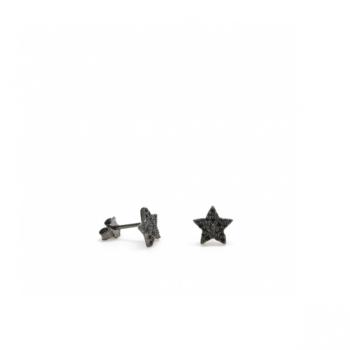 LINEARGENT earrings 16374NA