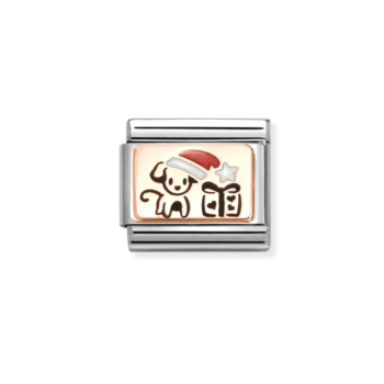 LINK NOMINATION D'ACER GOS AMB GORRO NADALENC 430204 07