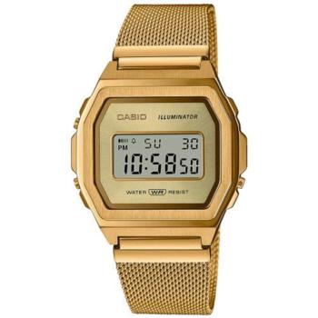 CASIO Collection Watch A1000MG9EF