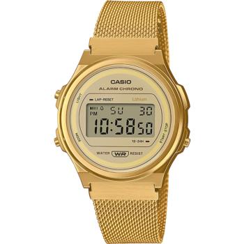 CASIO Collection Watch A171WEMG9AEF