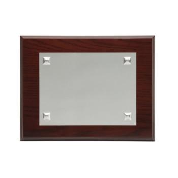 PLACA CONMEMORATIVA DE ALPACA O PLATA P-2009/1A