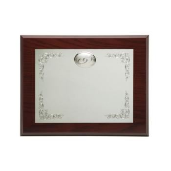 PLACA CONMEMORATIVA DE ALPACA O PLATA INFINITO P-2011/1A