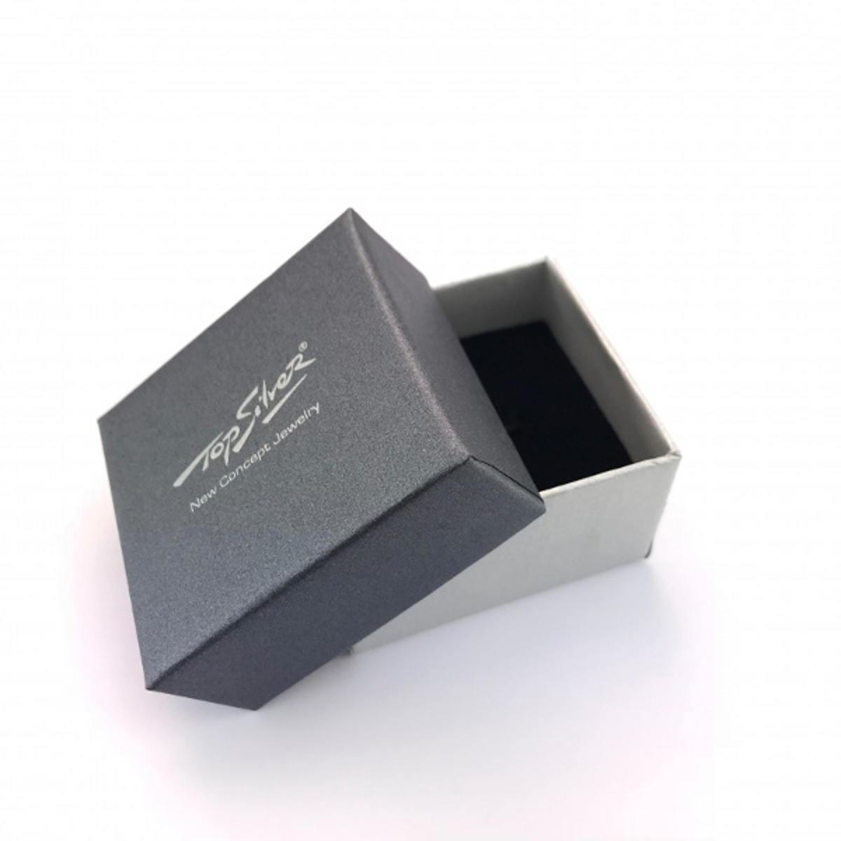 TOP SILVER EARRINGS FOR WOMEN PE5314P