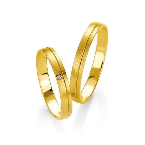 aliances or groc breuning