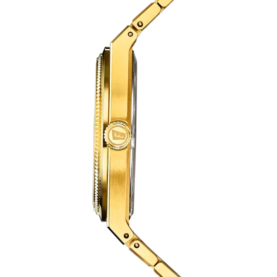 RELLOTGE FESTINA HOME SWISS MADE F20038/1