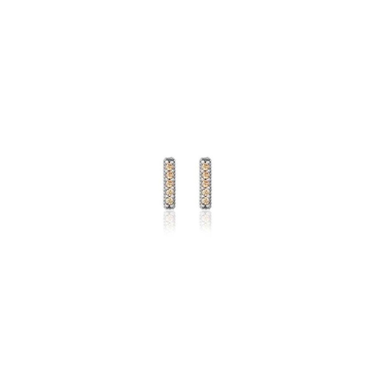 SUNFIELD Earrings PE062420