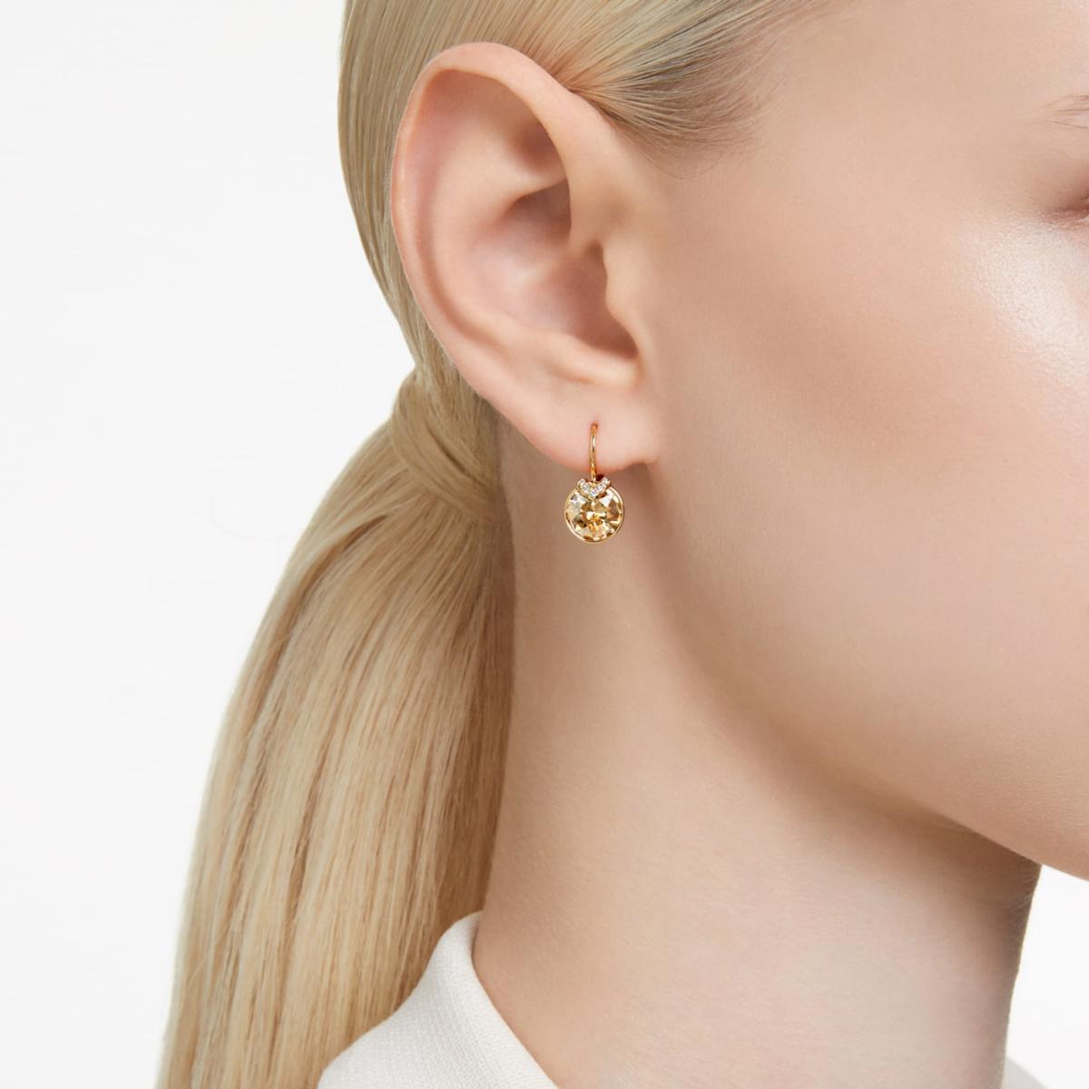 Swarovski earrings on sale on sale