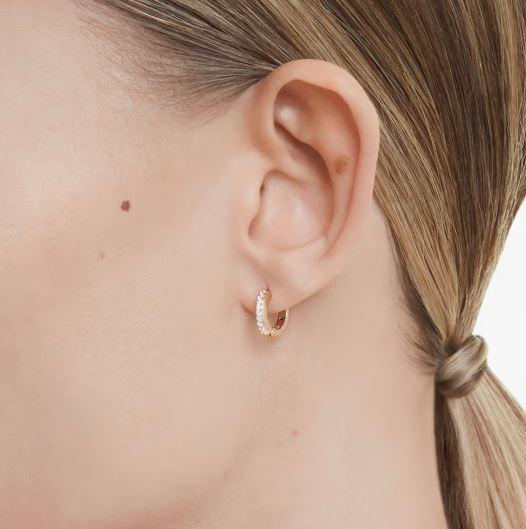 SWAROVSKI LONG MULTICOLOR EARRINGS 5690669